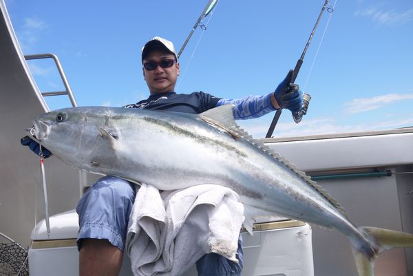 2015/2 KINGFISH in NEW ZEALAND