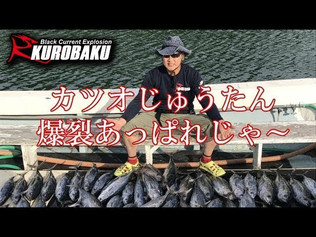 カツオ釣　キハダ釣　爆釣　 第八源洋丸（徳島県）Bonito & Yellowfin tuna fishing