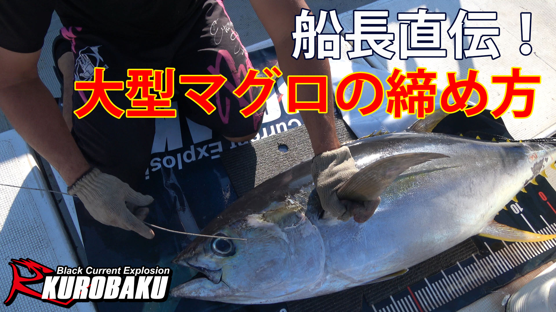 大型マグロの締め方のサムネイル