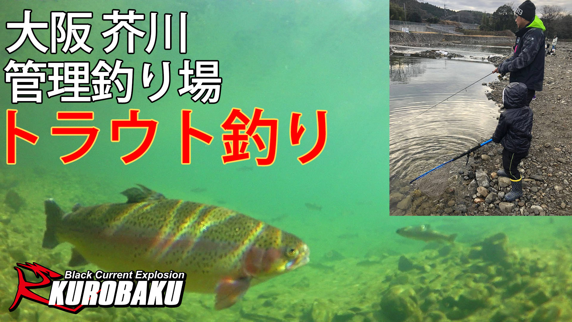 管理釣り場 トラウト釣り 大阪 芥川 のサムネイル