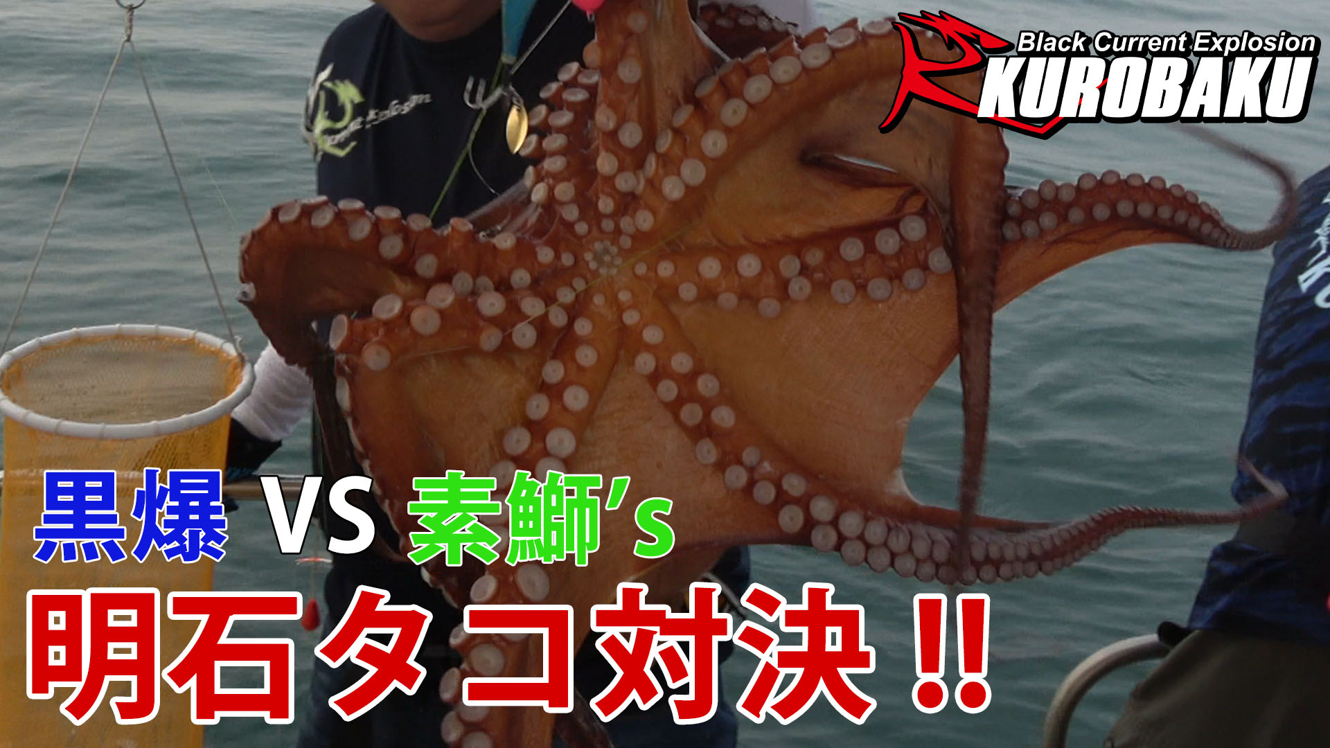 明石タコ釣り対決！のサムネイル
