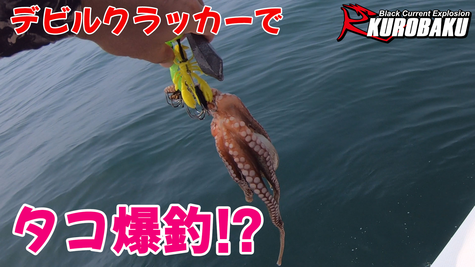 タコ釣りのサムネイル